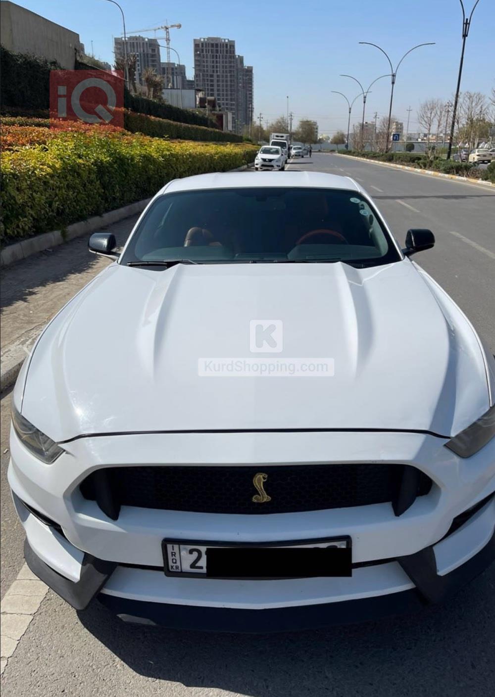 فۆرد مۆستانگ